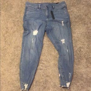 Lane Bryant jeans